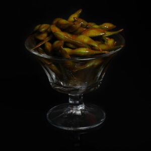 Edamame
